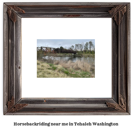 horseback riding near me in Tehaleh, Washington